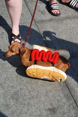 Un hot dog vivant :) - alive hot dog