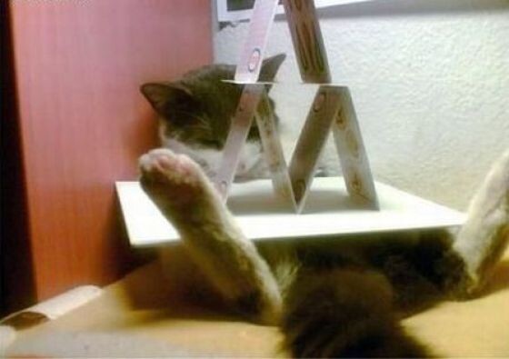 Il en faudra plus que ca pour reveiller ce chat qui fait la sieste - chat marrant un chat en train de dormir profondement au point que son maitre construit un chateau de carte sur lui