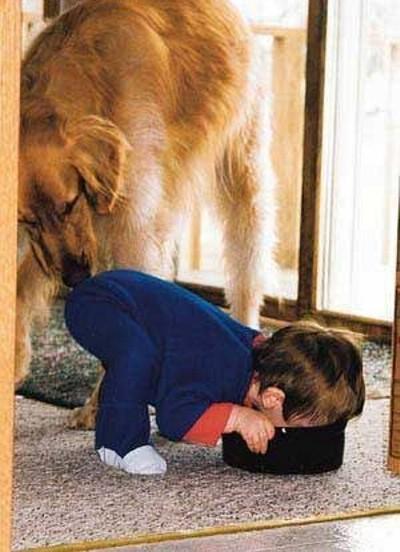 Un enfant qui se prend pour un chien, et ca a l air de marcher lol - funny dog with boy