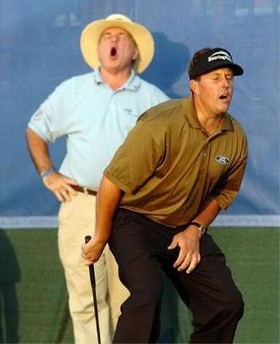 Il a mis la balle dans le trou ?? lol - le golf c est vraiment intense comme sport