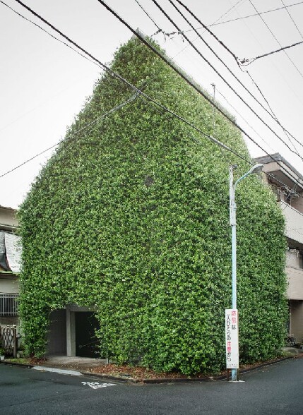 Une maison entierement recouverte de lierre ! :o - lierre sur les murs une maison recouverte du sol au toit de vegetations