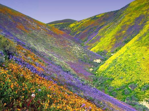 Une vallee anormalement coloree :p - nice mountain