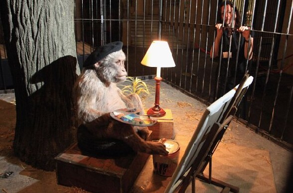 Un singe artiste en train de peindre un tableau - un singe peintre un singe en train de peindre une toile dans sa cage